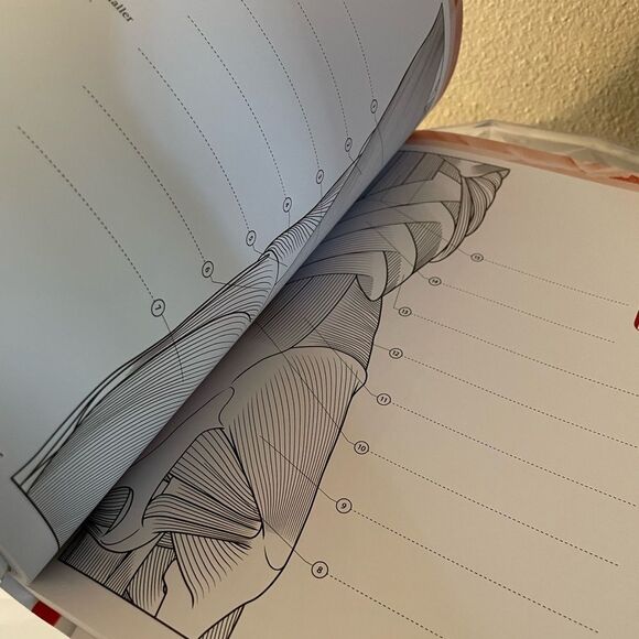 The Human Body Coloring Book - Picture 9 of 14